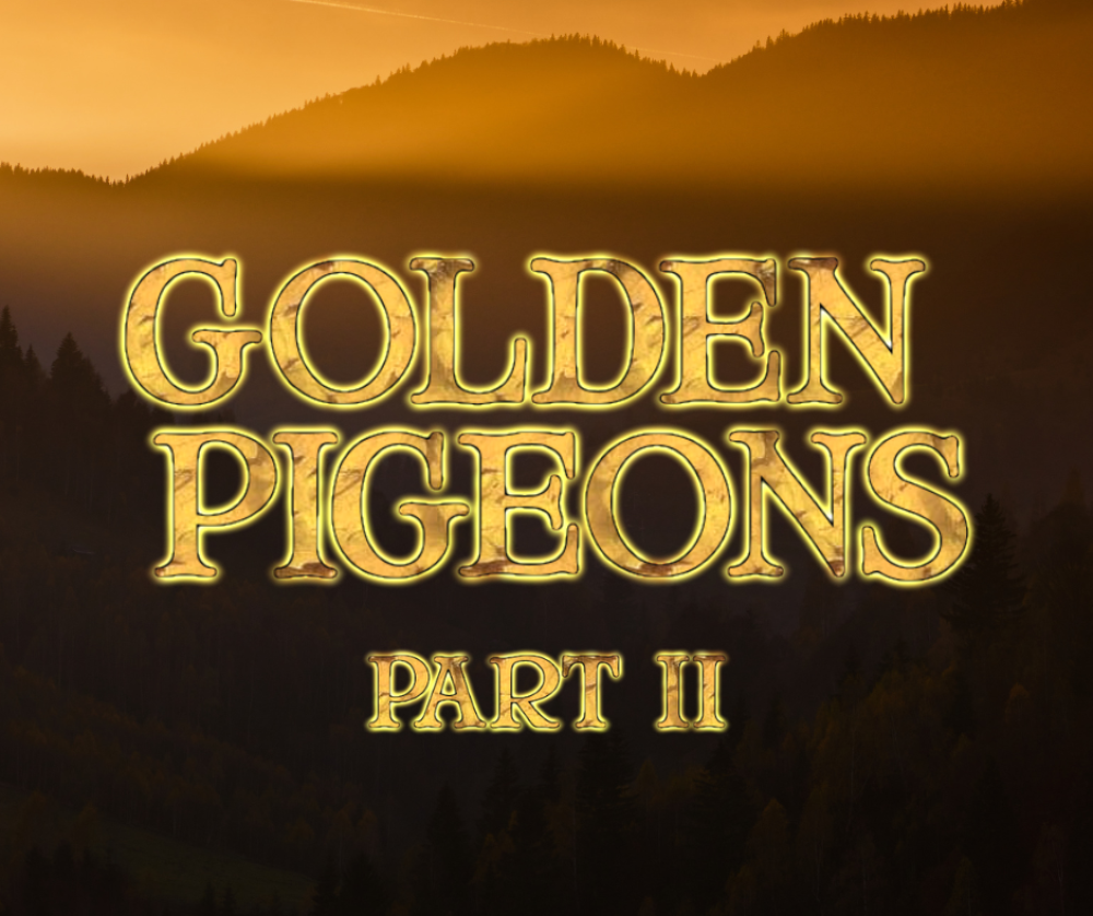 Zdjęcie: GOLDEN PIGEONS PART II