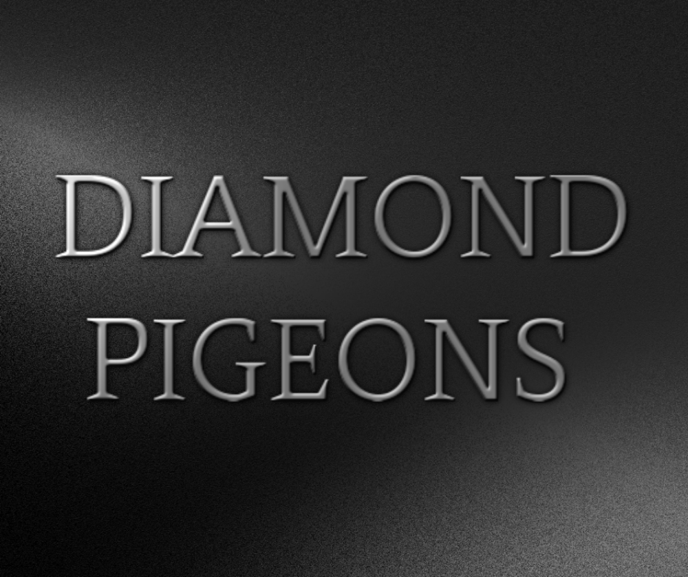 Zdjęcie: DIAMOND PIGEONS